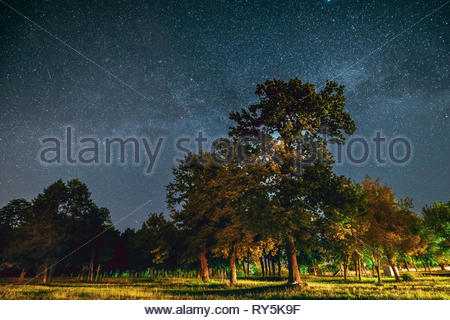 starry sky in autumn english patch